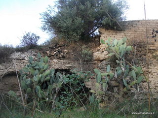 stellaccio20-11-2016 15-46-58